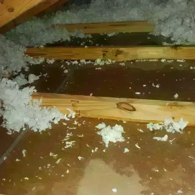 Attic Water Damage in Virginia City, MT